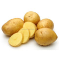 Compound Potato Chips Produktionslinie